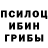 Галлюциногенные грибы Psilocybe Arsuha Igrovoy